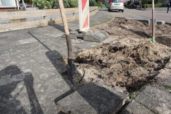 Tegelwippen rivierenland overzicht