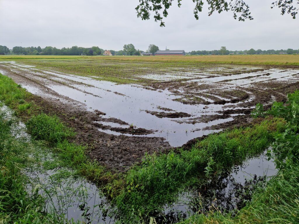 Herfst nieuwsbrief Klimaat Actief Rivierenland