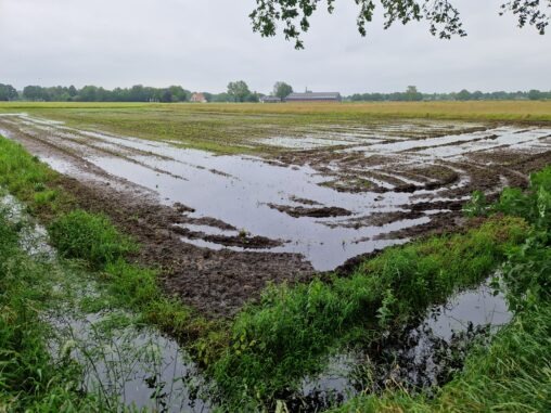 Herfst nieuwsbrief Klimaat Actief Rivierenland
