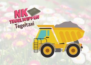 Tegeltaxi rivierenland