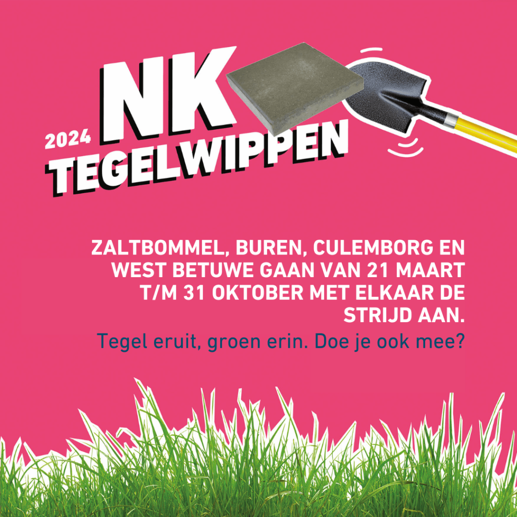 NK Tegelwippen Rivierenland poule